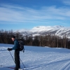 Cross country skiing in Geilo